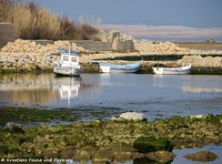 180127 10448 Gracija.jpg