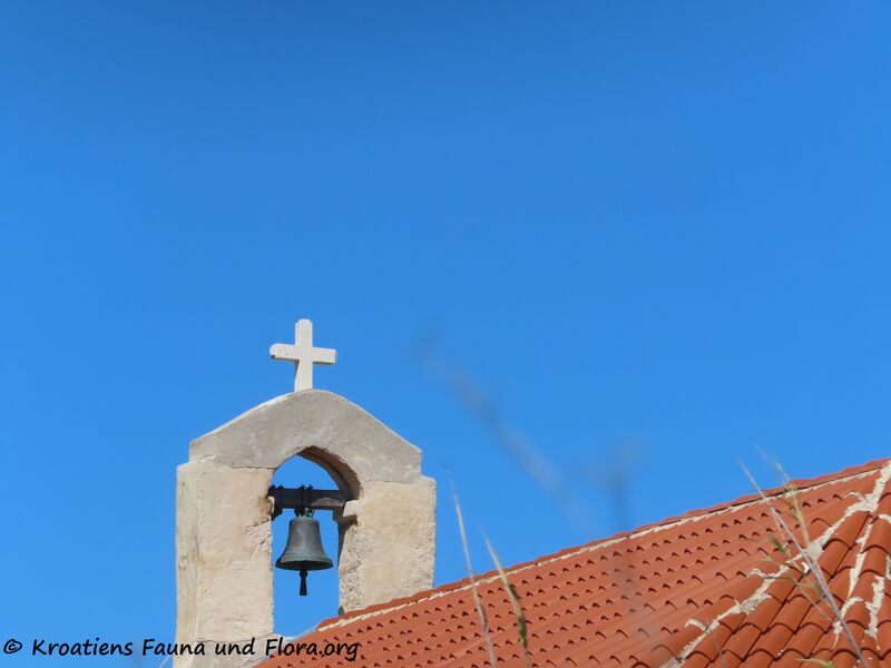 Datei:220420 2601.jpg