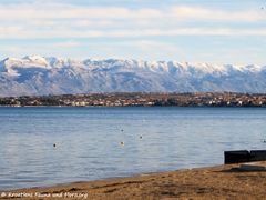 19.12.2018 - Jetzt sind die beiden platt