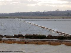 Die Salzfelder der Solana Nin