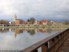 180405 11847 txt.jpg