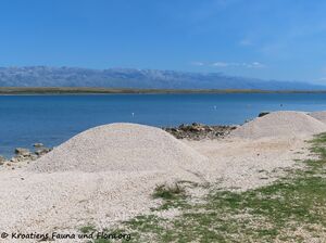 Straza 210504 2125a.jpg