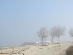 18.02.2019 Wer verschleiert hier was?