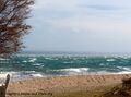 Vorschaubild der Version vom 16:53, 10. Jan. 2022