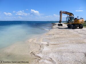 UNO World Oceans Day 11.jpg