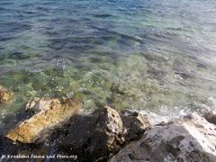 180108 10194 txt KFF.jpg