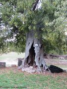 191031 2094 Bribir k.jpg