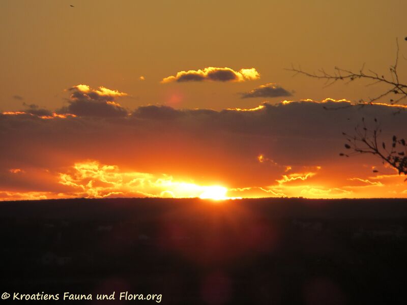 Datei:171127 10183 Nadin.jpg