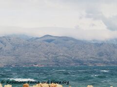 2301404 3725 Ražanac k.jpg