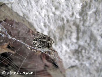 Aran dia AE 120919 2705.jpg