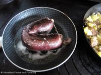 Blunzn160120 7948 txt.jpg