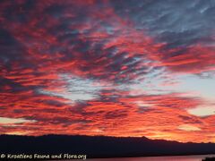 20.09.2022 - Es hat sich erst einmal ausgetobt