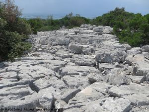 Karr 180605 14035.jpg