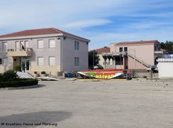 190224 0183 Rath k.jpg