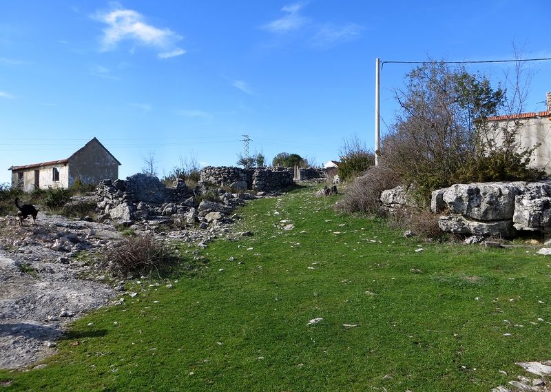 Datei:Tiere 171026 9705.jpg