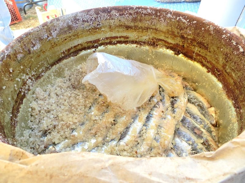 Datei:170410 7080.jpg