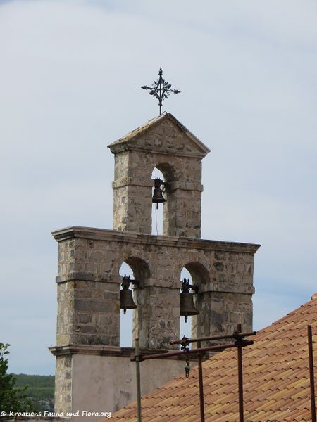 Datei:170421 7180.jpg