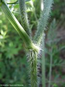 Guggenberger See 07/2014