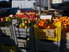 Zitrusfrüchte aus dem Neretva-Delta