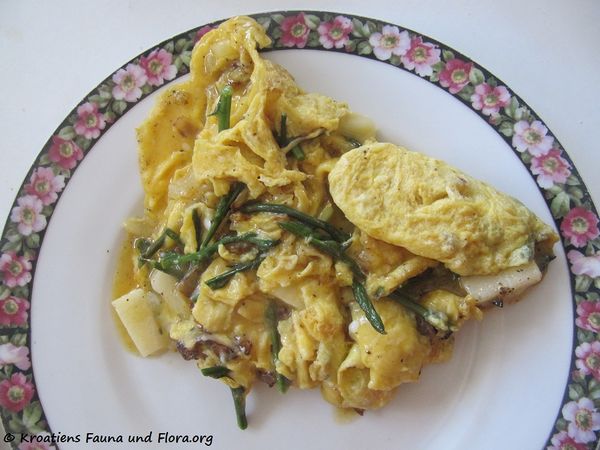 Spargel Omelett 150401 0112 txt.jpg