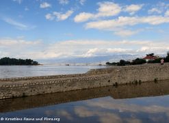 Auch der kleine Fischerhafen ist überflutet
