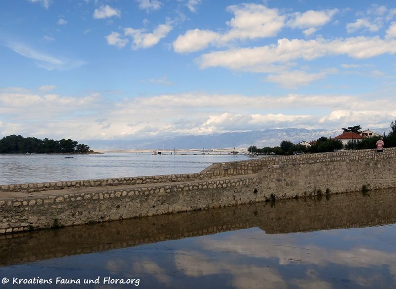 Datei:170912 9457 k.jpg