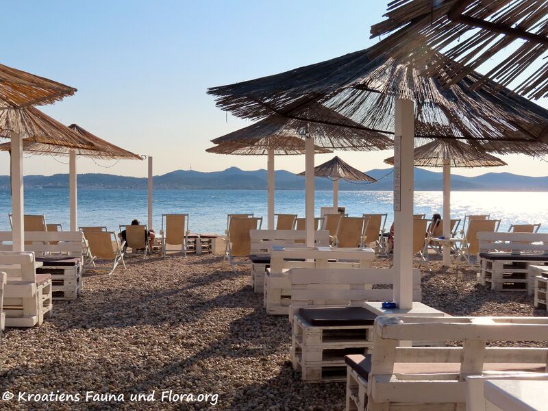 Datei:210930 2717.jpg