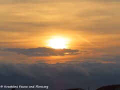 09.08.2022 - Madame Bura unterbricht ihren Schönheitsschlaf