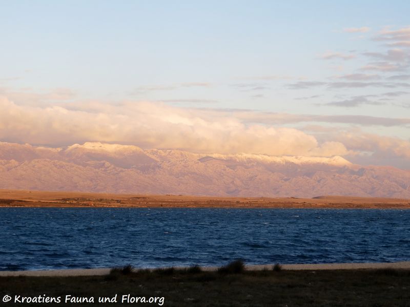 Datei:191210 2469.jpg