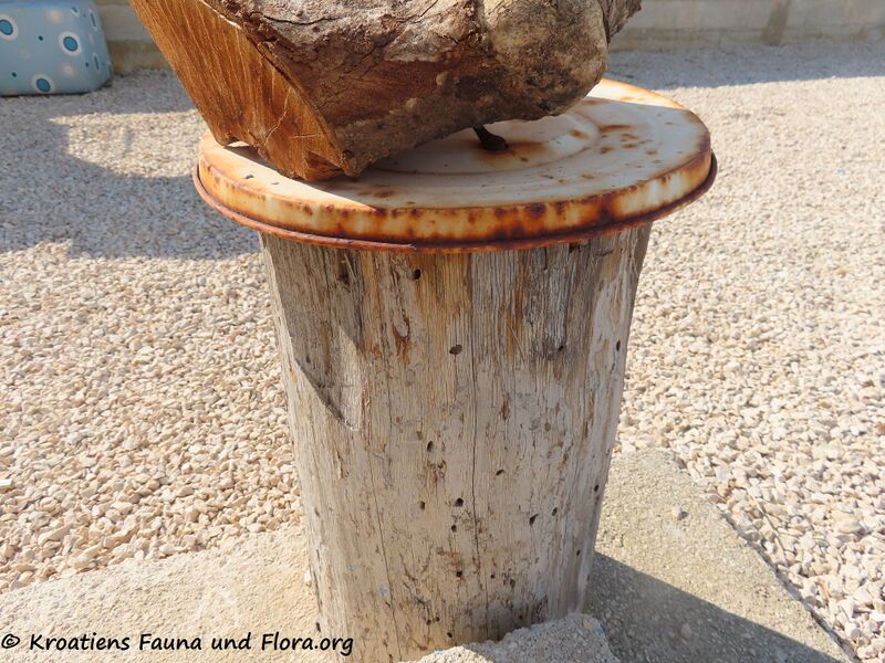 Datei:220514 2765 k.jpg