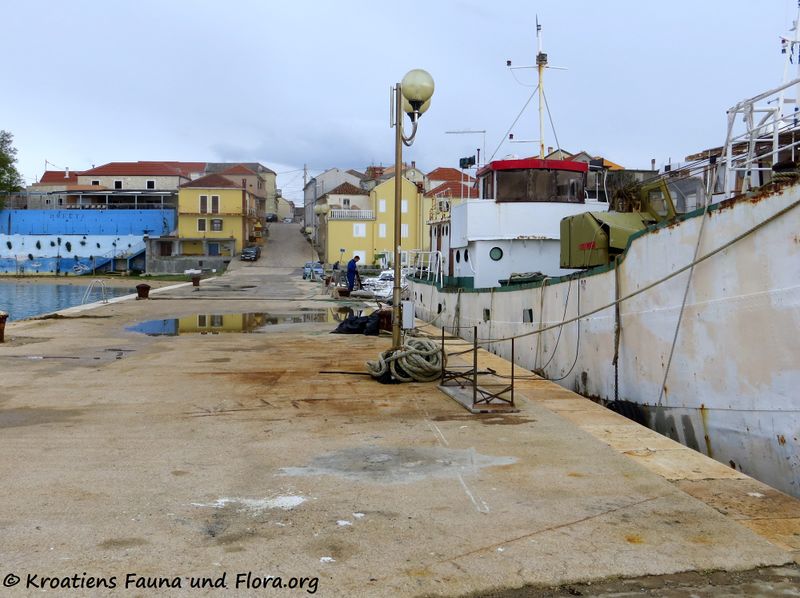 Datei:2 191109 2163 Hafen Stari porat.jpg