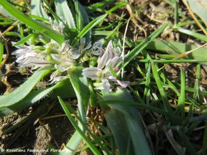 AlliCam Zat 180122 10432.jpg