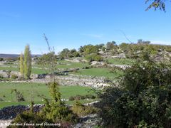 Steinmauer, Oktober 2017