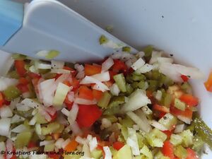 210523 2315 Altwiener Senfragout.jpg