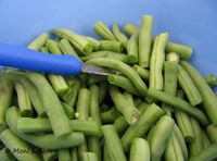 Phaselous vulgaris Linné, 1758 150911 1943 k.jpg