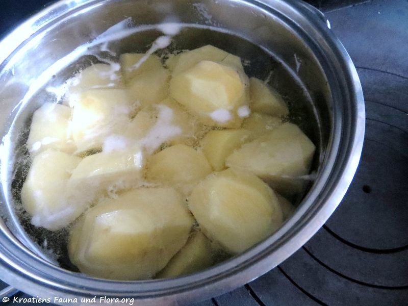 Datei:Kartoffel Wasser 180317 11204 k.jpg