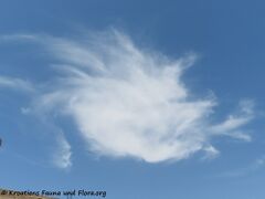 29.06.2021 - Monsieur Jugo findet seine wahre Bestimmung