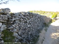 Steinmauer, Oktober 2017