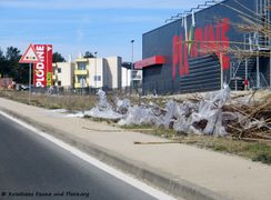 190224 0208 Nin k.jpg