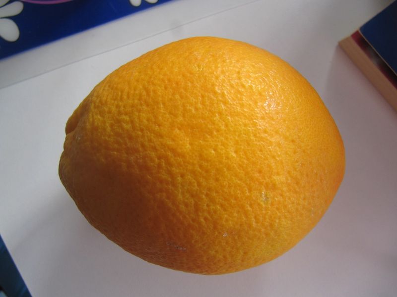 Datei:Citr sin Met 151124 2749.jpg