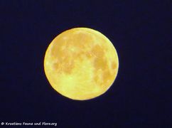 21.03.2019 Der Mond legt sich zur Ruhe