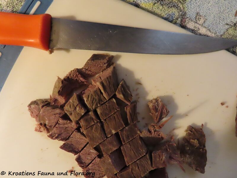 Datei:220227 2398.jpg