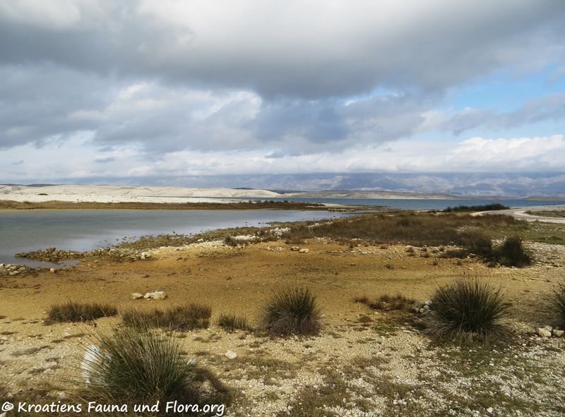 Datei:191220 2542 Zečevo.jpg
