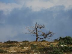 20.12.2019 - Die Ruhe vor dem Sturm