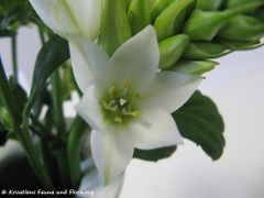 Pfaffenhofen 01/2012