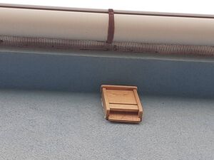 Ulica šišmiša 2 D.jpg