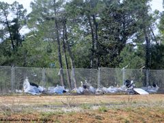 190224 0213 Zaton k.jpg