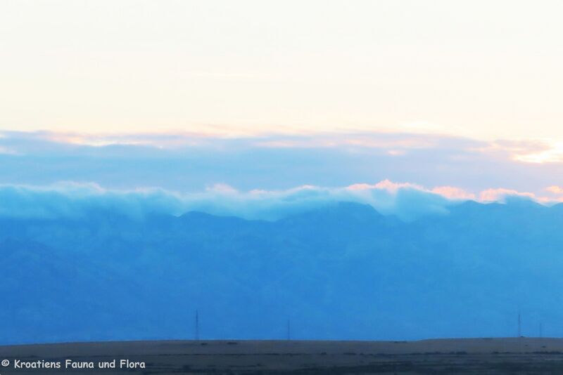 Datei:240806 8628.JPG