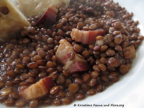 170113 5691 Linsen k.jpg