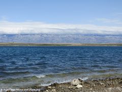 180417 12181 txt.jpg